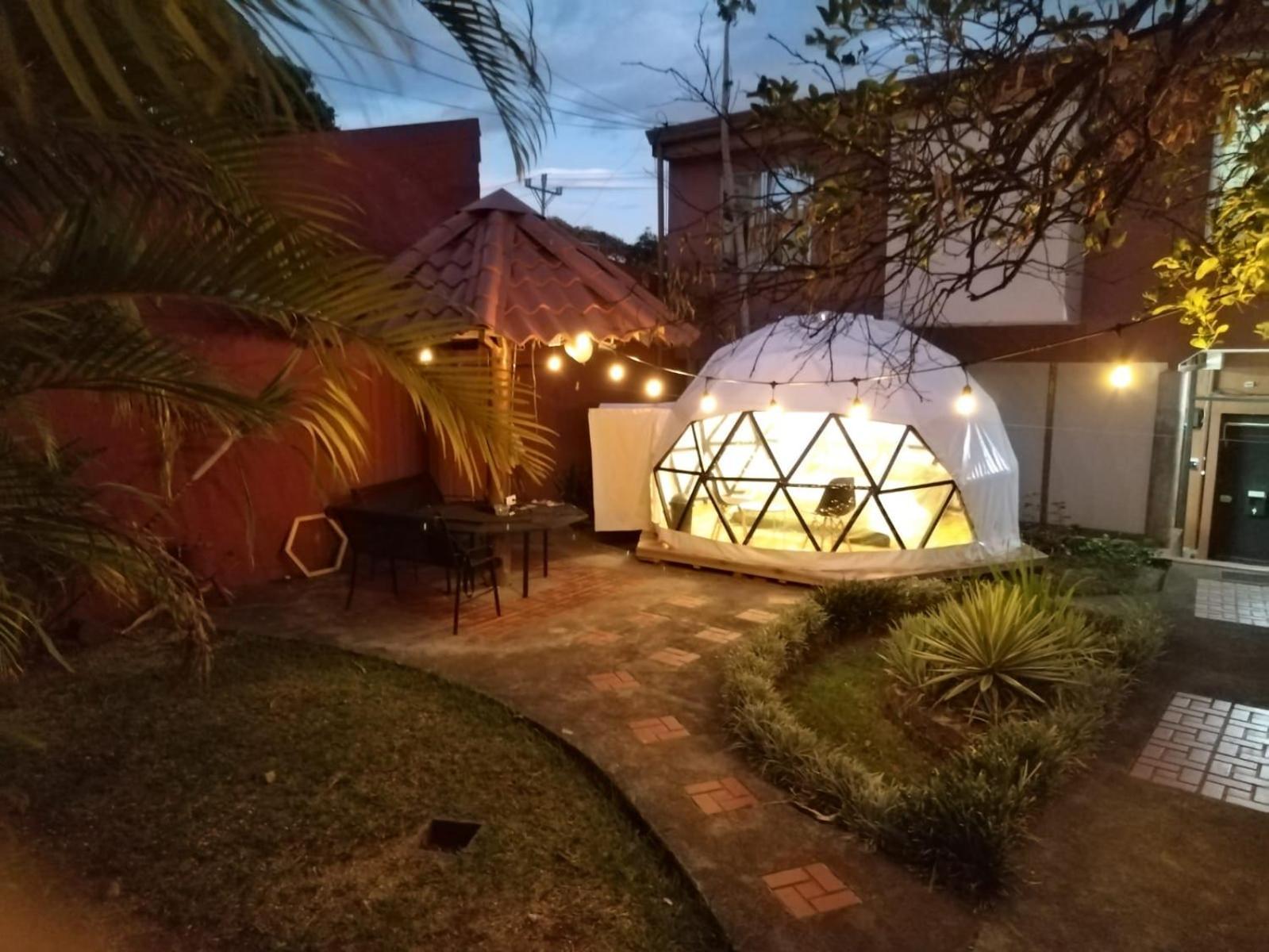 Boruka Bnb Hotel Alajuela Bagian luar foto